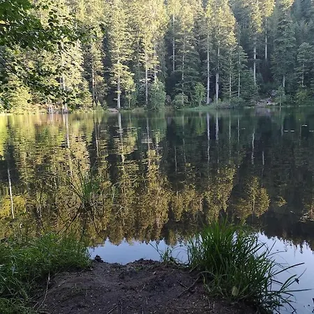 L'escaled - Flat + Arcade Lejlighed *