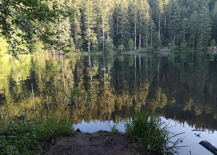 L'escaled - Flat + Arcade 公寓 *